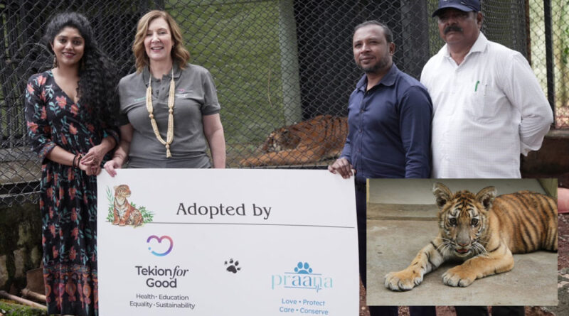 Tiger adopted